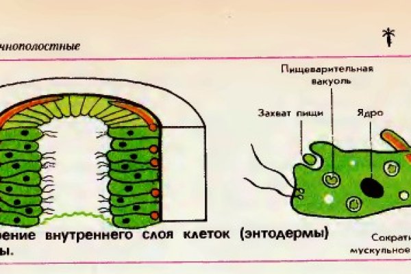 Кракен что продают