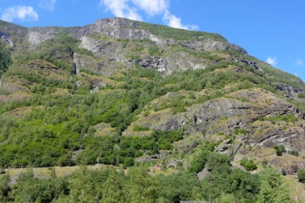 Не зачисляются деньги на кракен