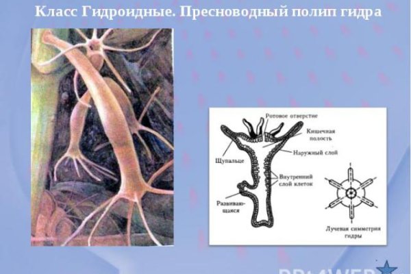 Как вернуть деньги с кракена