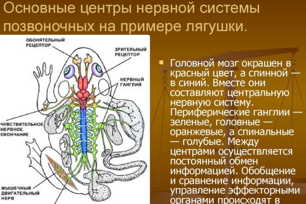 Кракен 15 сайт