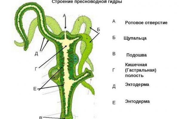 Kraken ссылка на сайт тор