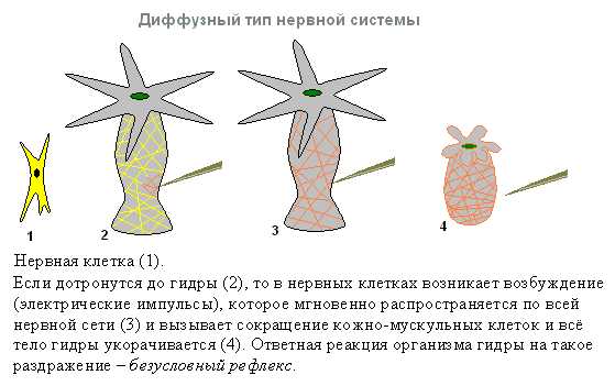 Кракен в обход